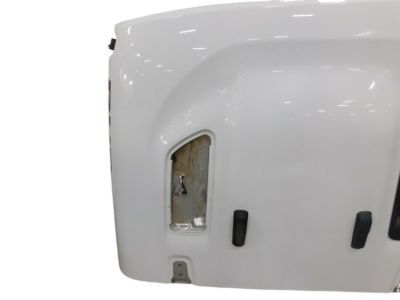 Mopar 68281965AE Hood Panel