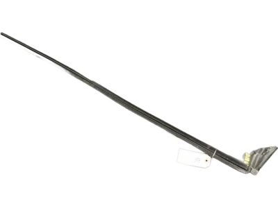 Mopar 5056274AC W/STRIP-Front Door Belt Inner