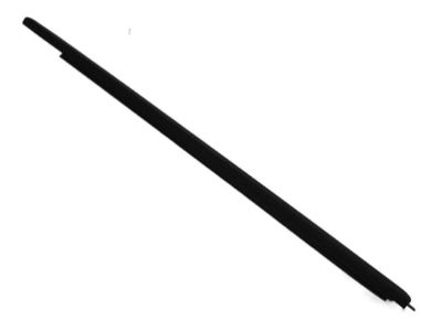 Mopar 55276958AB WEATHERSTRIP-Door Belt