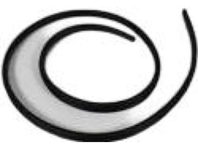 Mopar 1DZ06XXXAF WEATHERSTRIP-Front Door Body Mounted