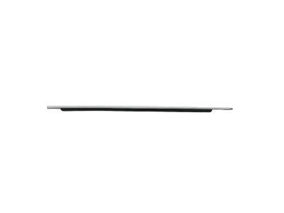 Mopar 5109810AE WEATHERSTRIP-Front Door Belt