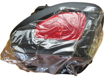 Mopar 68429903AA Lamp-Tail