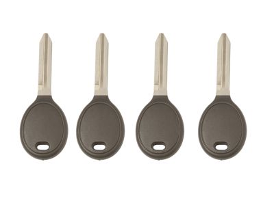 Mopar 5018496AA Key-Master