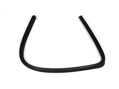 Mopar 55359442AE Seal-Rear Door Glass