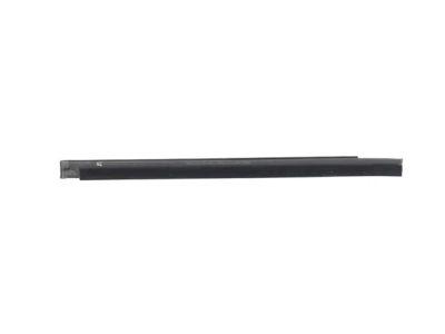 Mopar 68271676AD W/STRIP-Door Belt Outer