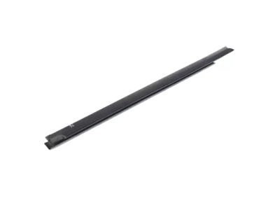 Mopar 68271676AD W/STRIP-Door Belt Outer