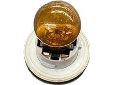 Mopar 68038216AA Socket-Park And Turn Signal