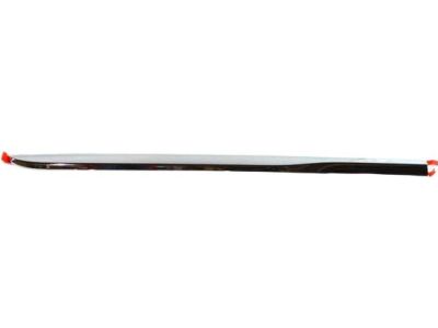 Mopar 68228676AB Molding-Sliding Door