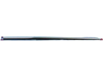 Mopar 68228676AB Molding-Sliding Door