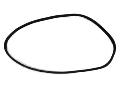 Mopar 55399256AC WEATHERSTRIP-Front Door Secondary