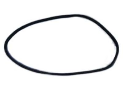 Mopar 55399256AC WEATHERSTRIP-Front Door Secondary