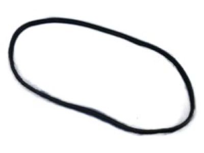 Mopar 55399256AC WEATHERSTRIP-Front Door Secondary