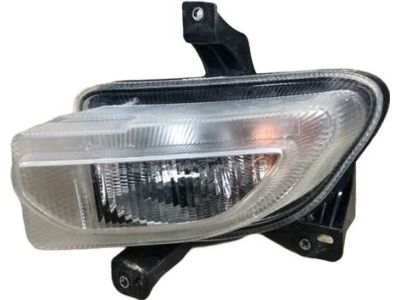 Mopar 68256431AA Lamp-Park And Turn Signal