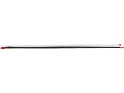 Mopar 68228674AB Molding-Front Door