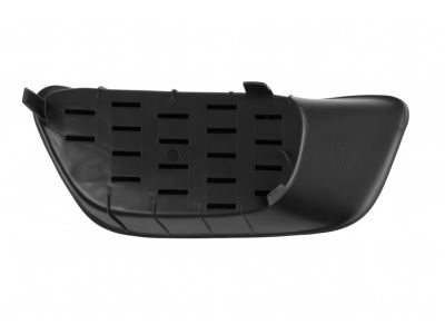 Mopar 68100708AA Cover-Lamp Opening