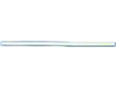 Mopar 1DH74SW1AB Molding-Rear Door