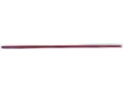 Mopar 1DH74SW1AB Molding-Rear Door