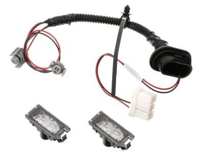 Mopar 68360246AA Lamp Kit-License Plate