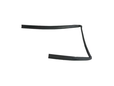 Mopar 55399188AG WEATHERSTRIP-Rear Door Glass Run