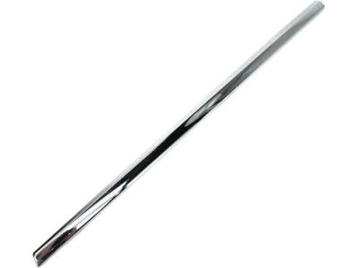 Mopar ZT52SZ0AA Molding-Front Door