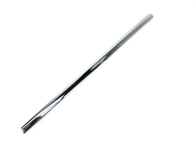 Mopar ZT52SZ0AA Molding-Front Door