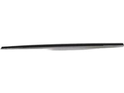 Mopar ZT52SZ0AA Molding-Front Door