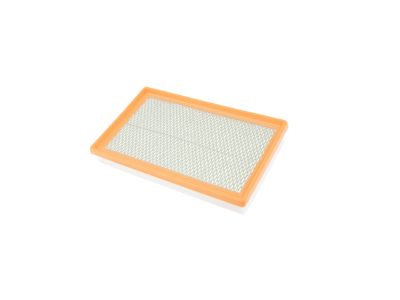 Mopar 4891691AA Filter-Air