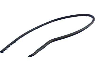 Mopar 68096403AC WEATHERSTRIP-Front Door