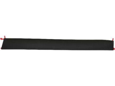 Mopar 5182562AB Molding-Front Door