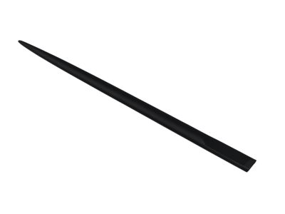 Mopar ZF80TZZAA Molding-Rear Door