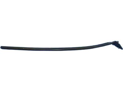 Mopar 5056275AC W/STRIP-Front Door Belt Inner