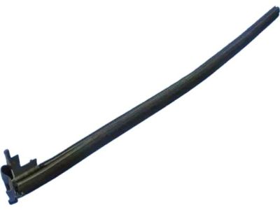 Mopar 5056275AC W/STRIP-Front Door Belt Inner