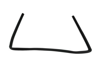 Mopar 5076870AD WEATHERSTRIP-Front Door Glass