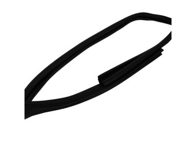 Mopar 5076870AD WEATHERSTRIP-Front Door Glass