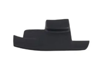 Mopar 1NC84DX9AD Molding-Door SILL