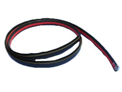 Mopar 68289840AC Molding-Roof