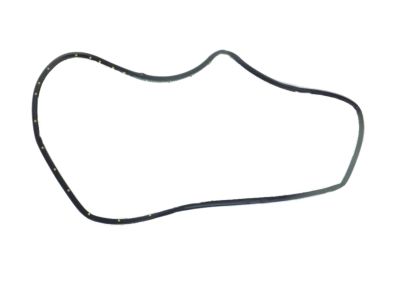 Mopar 68103062AB WEATHERSTRIP-Front Door Opening