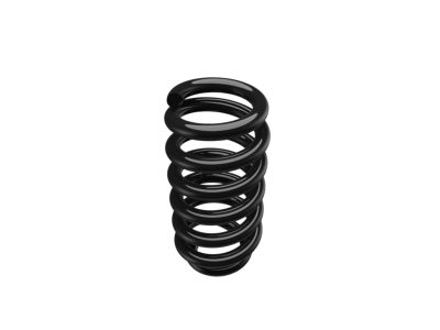 Mopar 68320236AB Front Coil Spring