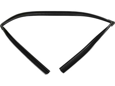 Mopar 68040038AE WEATHERSTRIP-Front Door Glass