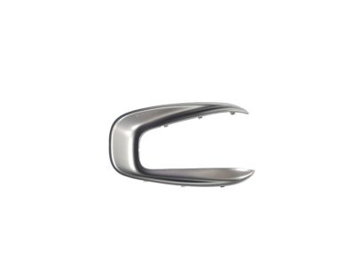 Mopar 1VF96GDLAA Bezel-SHIFTER