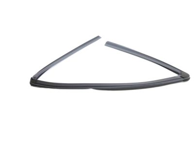 Mopar 68285727AE Front Door Glass Run