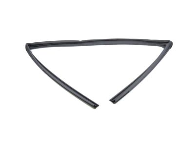 Mopar 68285727AE Front Door Glass Run