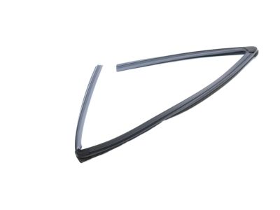 Mopar 68285727AE Front Door Glass Run