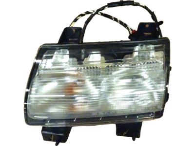 Mopar 68293127AG Lamp-Park And Turn Signal