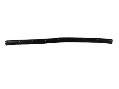 Mopar 5065160AF WEATHERSTRIP-Front Door SILL Secondary