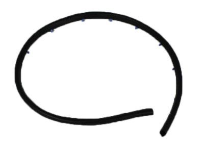 Mopar 55394042AE Seal-Front Door