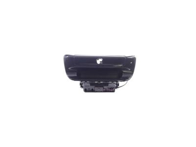 Mopar 6RN76KXJAA Handle-TAILGATE