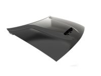 Mopar 68259671AG