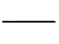 OEM Dodge Ram 2500 WEATHERSTRIP-Door Belt - 55276943AD