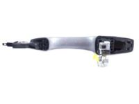 OEM 2015 Dodge Durango Handle-Exterior Door - 1SP27JSCAC